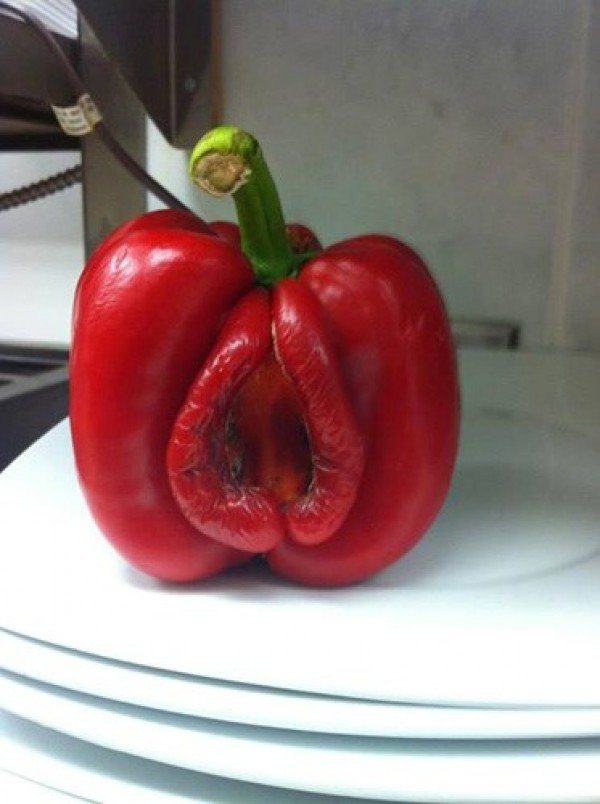 Paprika