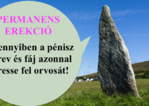 a pénisz csökkent milyen formák vannak péniszek